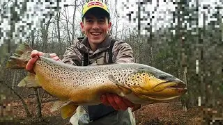 Unreal Winter Trout Fishing Pt 2 | Catching my BIGGEST Brown Trout ever!