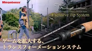 「TRIZA Exclusive Tip System」ゲームを拡大する、トランスフォーメーションシステム