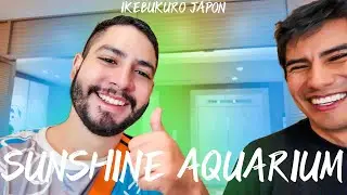 Pingüinos en el cielo de Tokio: mi visita al Sunshine Aquarium 🐧🌆
