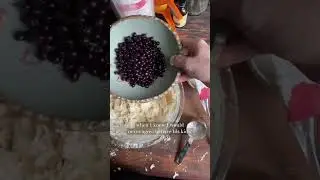 Blueberry Muffins and freezing my eggs.