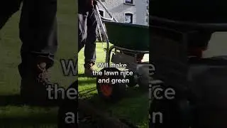Use this CHEAP fertiliser to get an AMAZING GREEN lawn