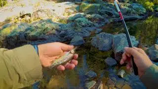 Tenkara Tip #1 Fast Surface Nymphing for still water