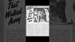 Журнал Wrestling Illustrated, январь 1966 г. #prowrestling #nwa #brunosammartino #romanreigns #cm...