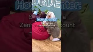 Win free money from Zenmarket GIVEAWAY