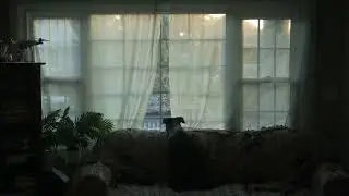 Waiting( Cinematic Short Movie)