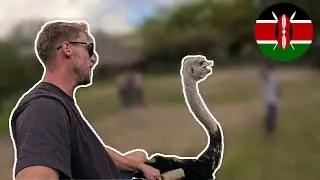 Riding an Ostrich in Kenya 🇰🇪 