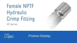 Hydraulic Crimp Fitting 10243 NPTF  | Leak-Free Hose Connection