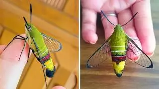10 Creatures You’ve Never Seen Before! 😱