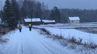 Snow Flurry Winter Sled Pushed on Forest Road to Postal Mail Box near Highway iPhone X K4
