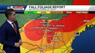 Video: Cooler, still sunny on Sunday (10-12-19)