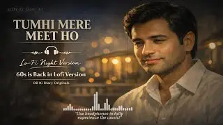 Tumhi Mere Meet Ho | Lo-Fi Night Version | Classic Hindi Song Reimagined | @Dil_Ki_Diary_AA
