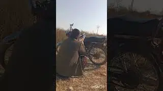 Hunting with pcp p10 dove and pigion hunting 