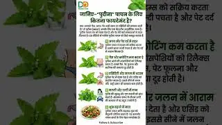 जानिए&ndash; &ldquo;पुदीना&rdquo; पाचन के लिए कितना फायदेमंद है?#mint #digestivehealth #constipation #trending #shorts