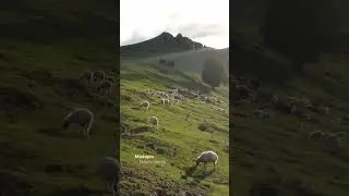 My tranquility base in alborz mountain, talesh county, gilan highlands,sheeps & shepherd