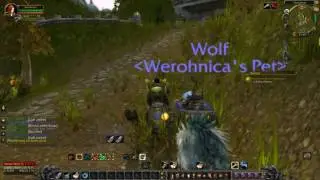 World Of Warcraft Quest Info: Thelsamar Blood Sausages