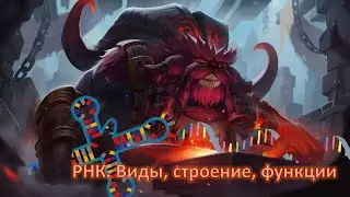 Урок 23 | РНК. Виды, строение и функции
