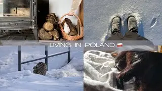 Slow living in a small Polish town 🇵🇱 | The day the forest trusted me