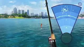 Fishing Strike #FishingStrike