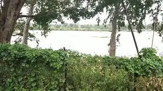 Kerala floods latest videos images