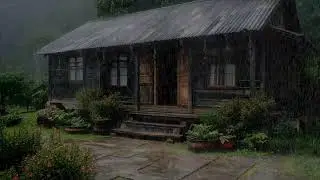 Relaxing rainfall ambience calming the spirit helping you rest peacefully overnight