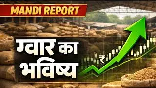 ग्वार भाव 10,000 पार जाएगा? | आज का ग्वार मंडी भाव | डेटा आधारित विश्लेषण