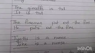 Pronouns DSC SA 2 English syllabus 4th class English textbook grammar explained in Telugu.