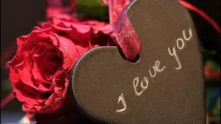 Happy valentines day 2021|| Valentine's day whatsapp status video|| February 14 status