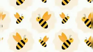 How many classes of bees are there in a bee hive?