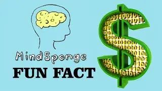 MindSponge Fun Fact: Digital Money