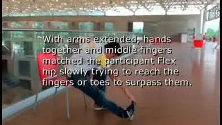 Senior Fitness Test complete description