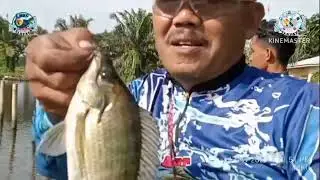 #Buka pagi kolam Haji Hasan @MKC Mancing kelayapan channel 