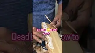 how to repair damage bat😲#shortsfeed#cricket#cricketlover#cricketshorts#cricketbat#cricketfans#viral