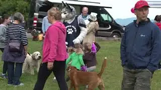 Helping Paws Charity 2013 | Mascots, Kids, Dogs, Fun - 9