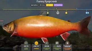НОВЫЕ ФАРМЫ СЕРЕБРА и РАЗДАЧИ ТРОФЕЕВ! СВОДКА по ВОДОЁМАМ на 02.02 в Русской Рыбалке 4! РР4