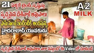 Gir Cow Farming In Telugu | Pure Natural A2 Milk in Hyderabad | Desi Cow Milk