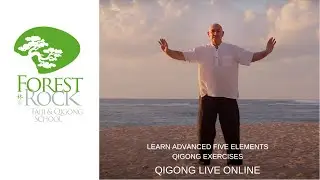 Learn Advanced Five Element Qigong Exercises