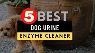 Best Dog Urine Enzyme Cleaner 2025 [UPDATED] 🔶 Top 5 Dog Urine Enzyme Cleaner Reviews