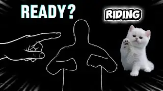 Immersive Interactive Warm Up|fun holiday |riding 