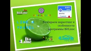 Маркетинг и особенности программы BitLime / программа лояльности платформы Magic Lime Academy