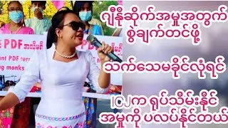 #မပုတု (မဟာသွေး)