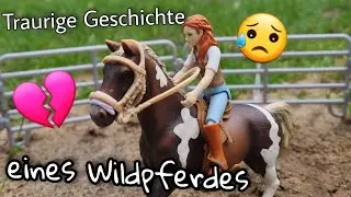 Die traurige Geschichte eines Wildpferdes namens Browni🐴Schleich Pferde Kurzfilm ❤