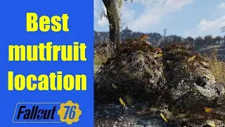 Fallout 76 - Best mutfruit location