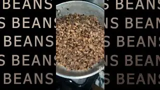 she made beans wtf (but I vocoded it amazingly)