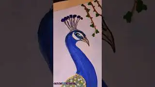 مجموعة لوحات