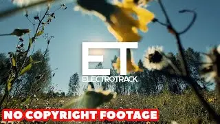 Under the Sun | No copyright Nature Walk Background video