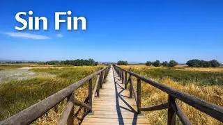 Virtual Walking Workout 4K &ndash; Fuente de Piedra Lagoon Scenic Route | Treadmill Walk POV