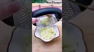 Press Garlic Tool