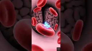 After all, how is blood formed in the body? #shorts