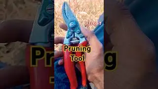 FELCO 7 Apple Pruning Tool - Your Ultimate Gardening Companion🛠️#felco #apple #tool#viralshort
