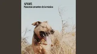 Perros felices